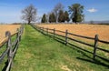 Trail Leads to the Mumma Cemetery